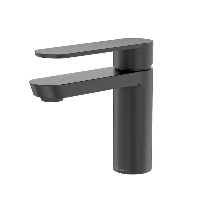 Viral Lulani Yasawa Gun Metal 1.2 GPM Single Hole Stainless Steel Faucet With Drain Assembly