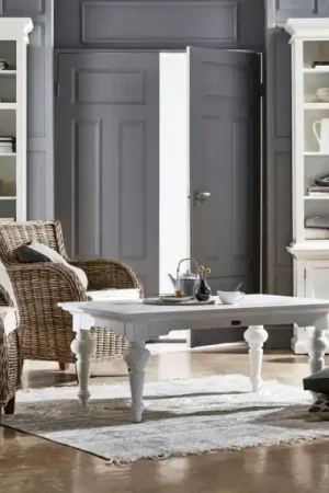 New Arrival Baron Chair (Set of 2) By Novasolo - CR52