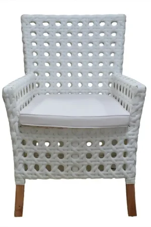 Derby Polystrap Milky Arm Chair W/ Sunbrella Cushion-Outdoor by Jeffan Final Sale