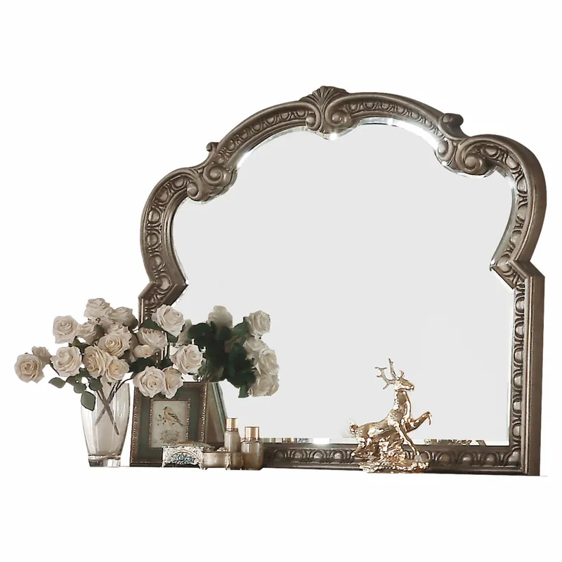 HomeRoots Baroque Style Wall Mirror in Antique Champagne Finish No Minimum Order