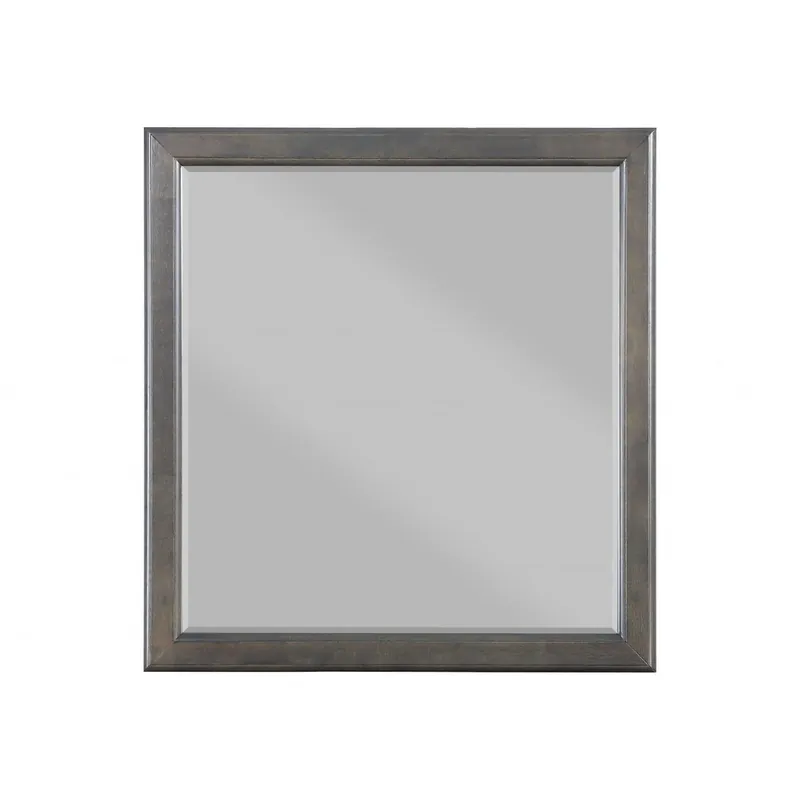 Popular HomeRoots 38" Rectangle Wall Mounted Accent Mirror in Gray Finish