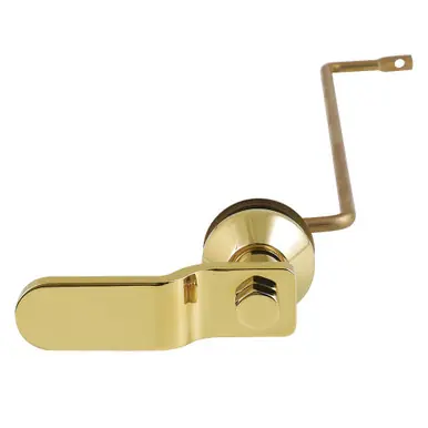 Express Delivery Kingston Brass Convergent Side Mount Toilet Tank Lever, Polished Brass - KTILS2